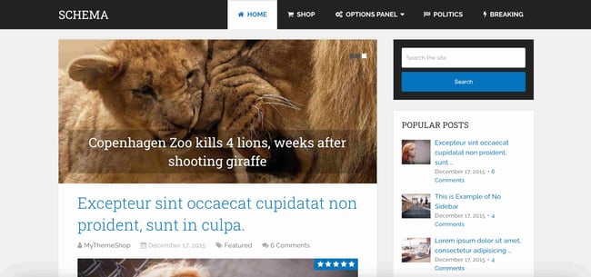 business themes for wordpress: schema