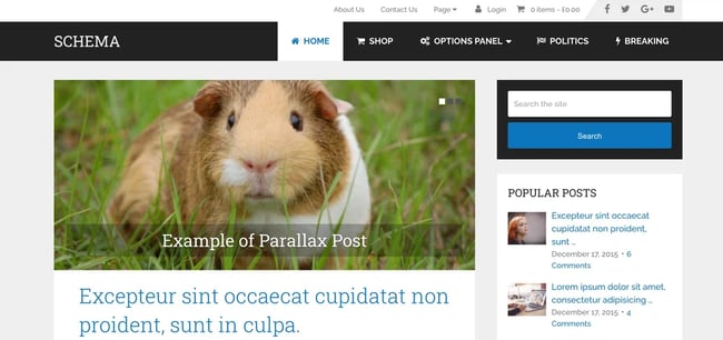demo of the wordpress theme for adsense schema
