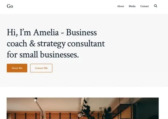 most popular wordpress theme demo example: go