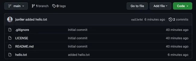 Github repository screen, new file